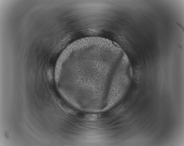 X0000102800131200809081120