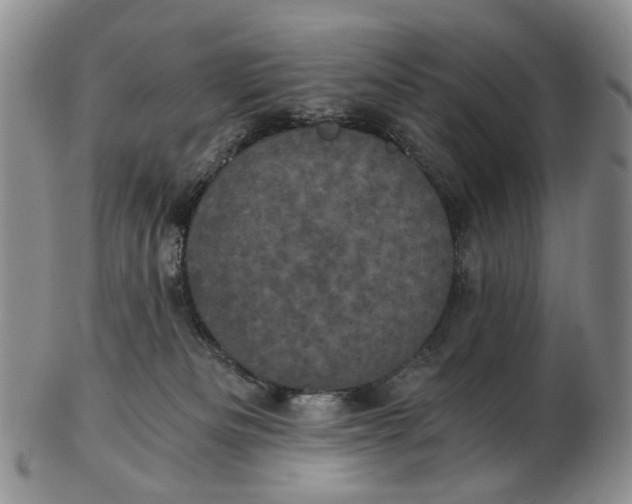 X0000102800133200809081120