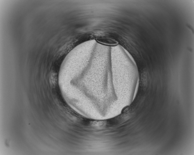 X0000102800135200809081120