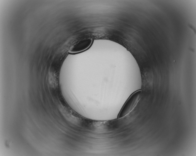 X0000102800136200809081120