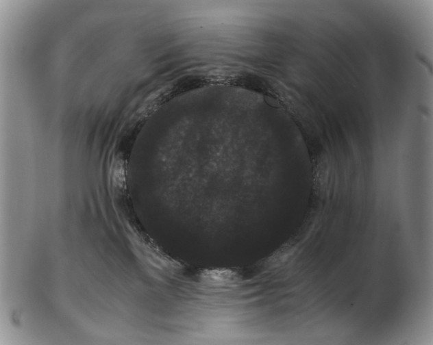 X0000102800137200809081120