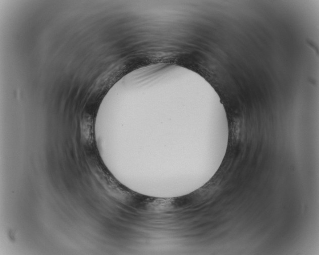 X0000102800138200809081120