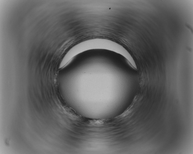 X0000102800140200809081120