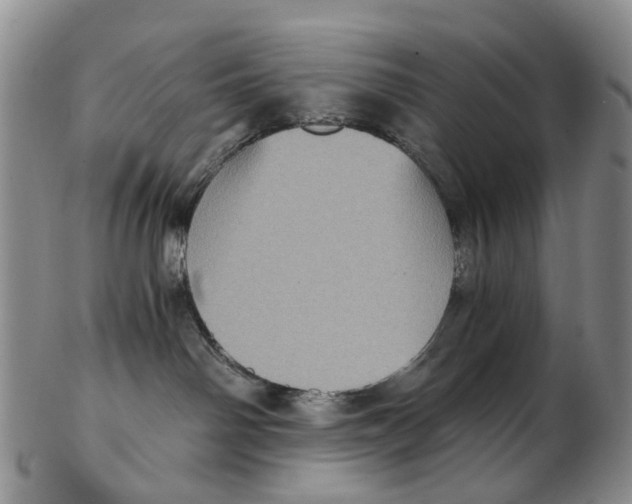 X0000102800142200809081120