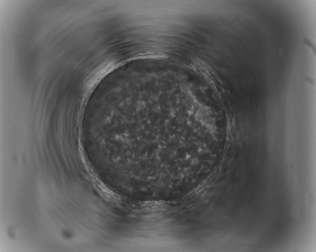 X0000102800145200809081119