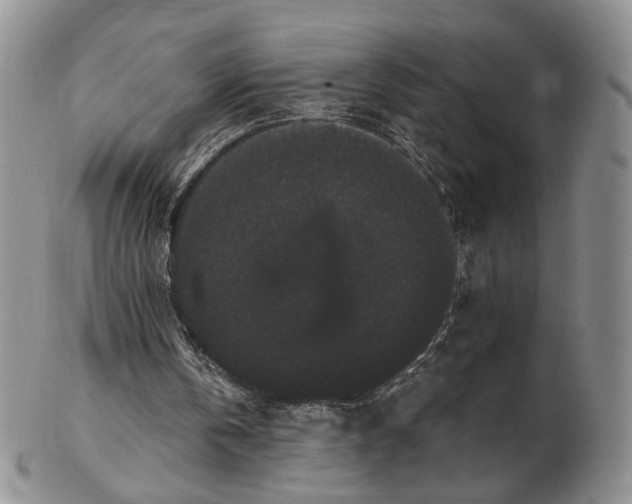 X0000102800146200809081119