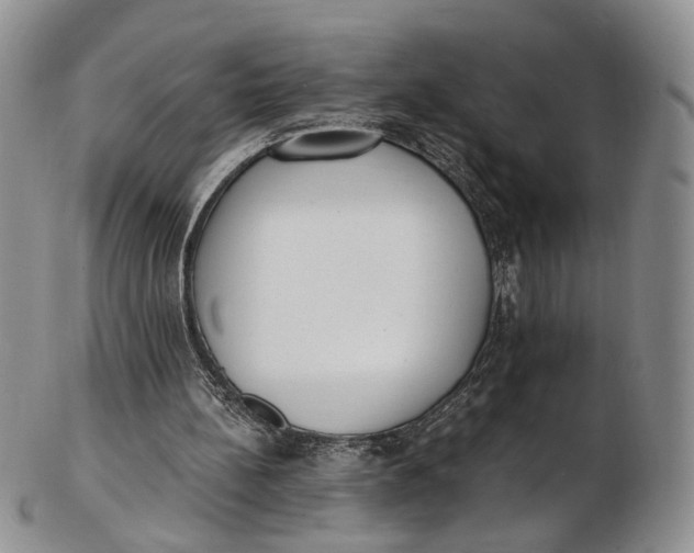 X0000102800148200809081119