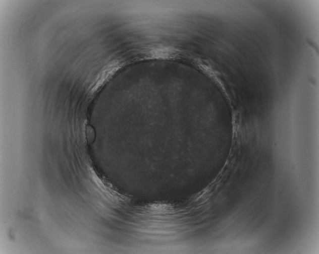 X0000102800154200809081119