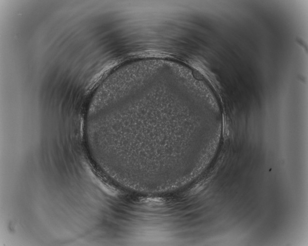 X0000102800157200809081120