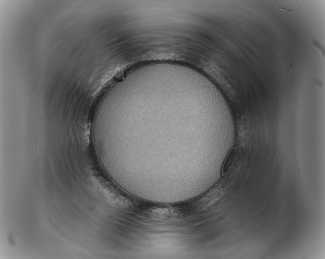 X0000102800160200809081120