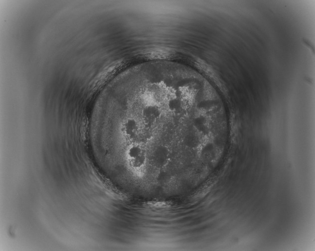 X0000102800161200809081120