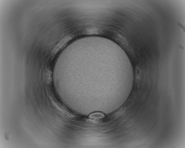 X0000102800164200809081120