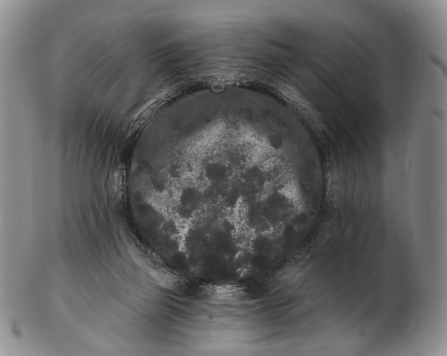 X0000102800165200809081120