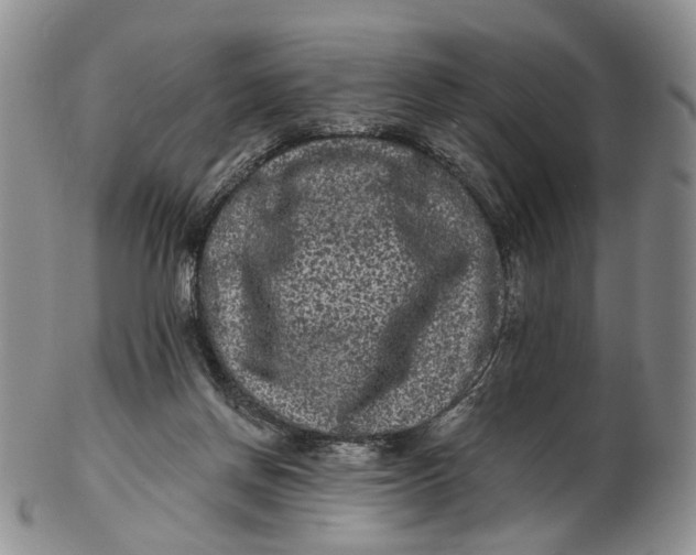 X0000102800166200809081120