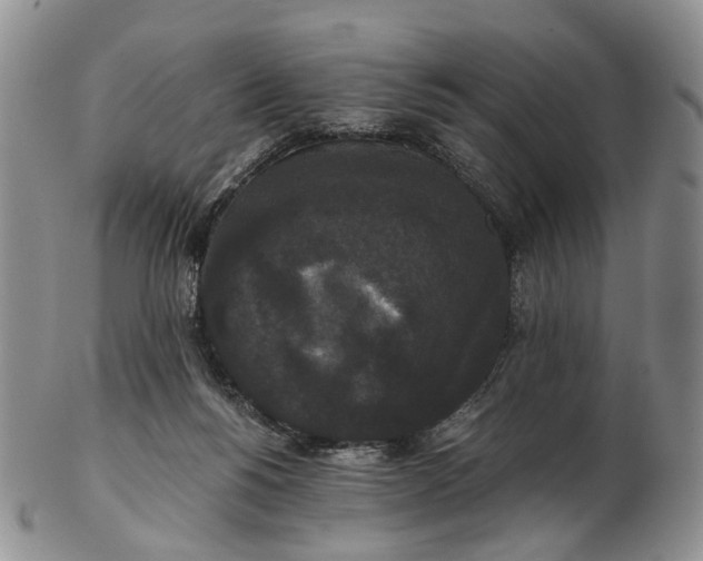 X0000102800168200809081120