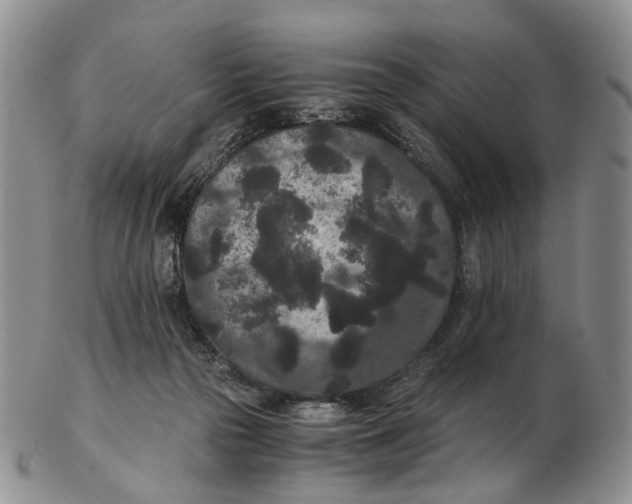 X0000102800169200809081120