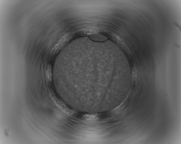 X0000102800170200809081120