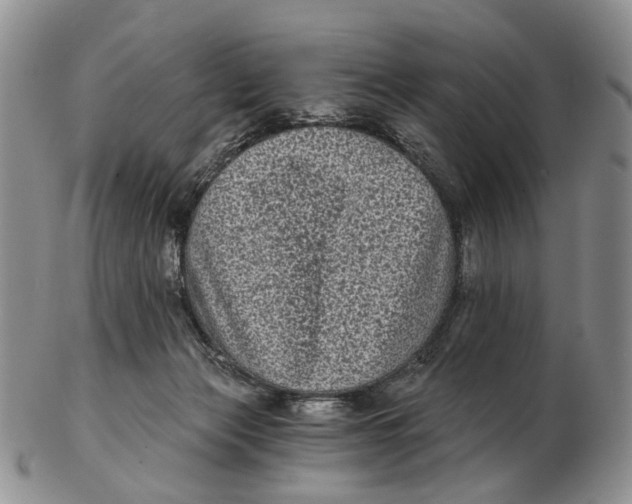 X0000102800173200809081120