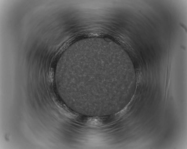 X0000102800174200809081120