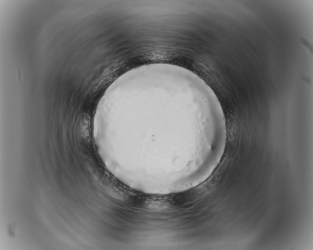 X0000102800175200809081120