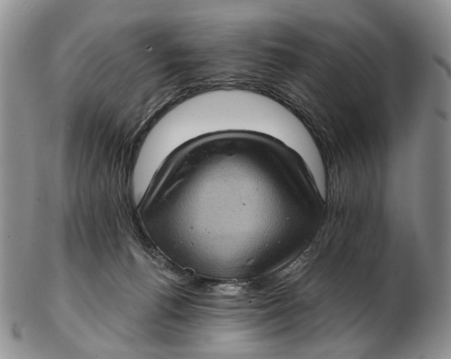 X0000102800176200809081120