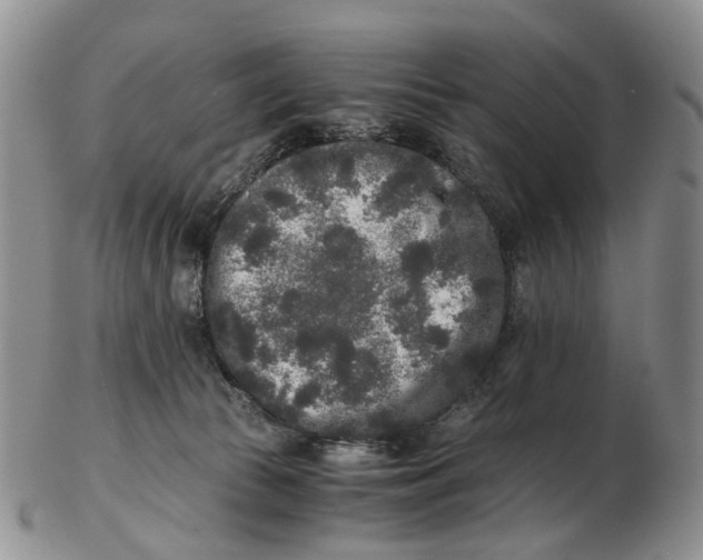 X0000102800177200809081120