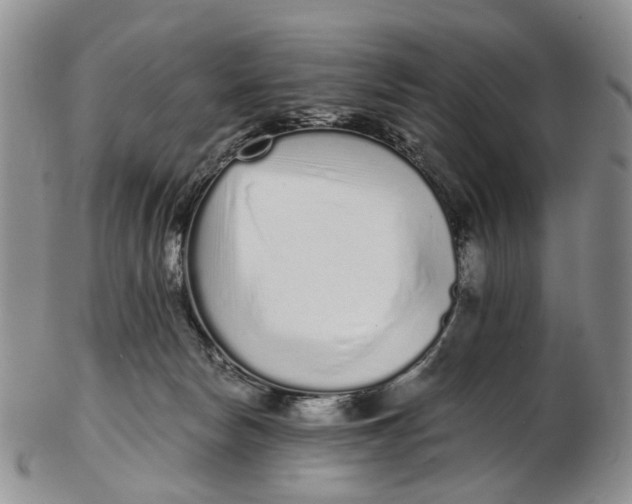 X0000102800178200809081120