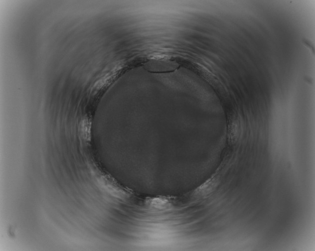 X0000102800180200809081120