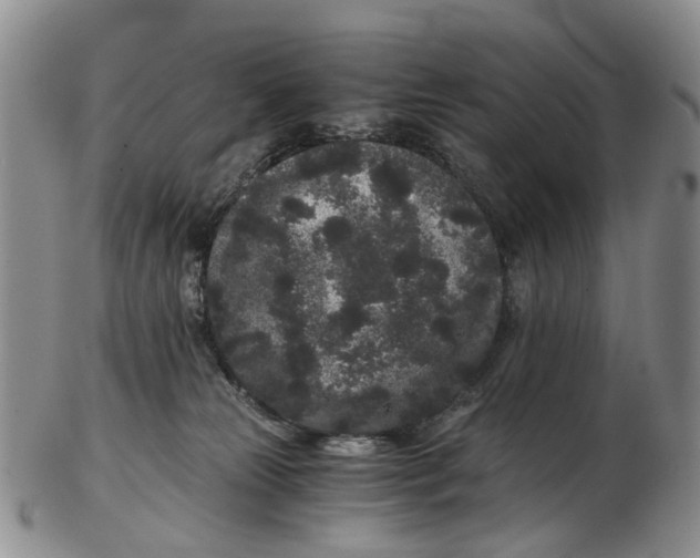 X0000102800181200809081120