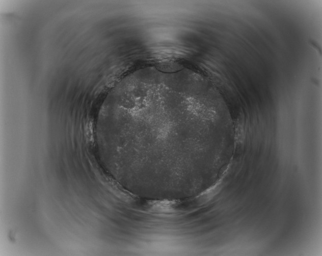 X0000102800182200809081120