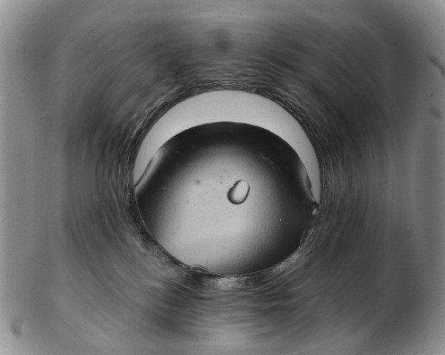 X0000102800184200809081120