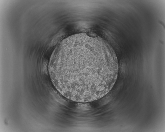 X0000102800185200809081120