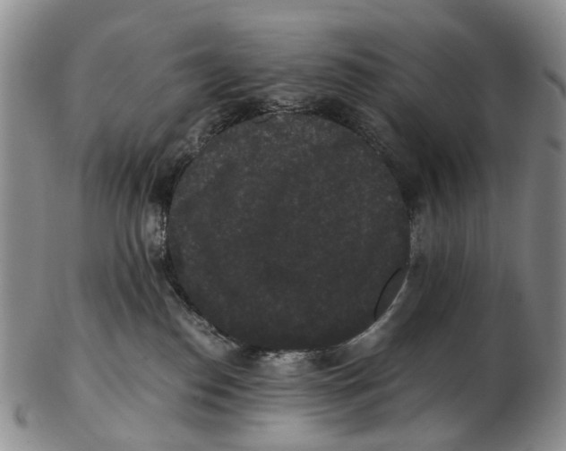 X0000102800186200809081120