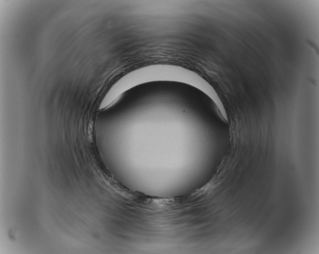 X0000102800188200809081120