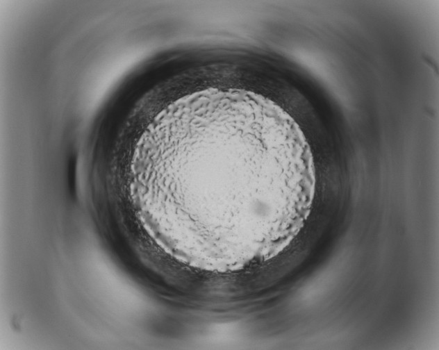 X0000102800189200809081120