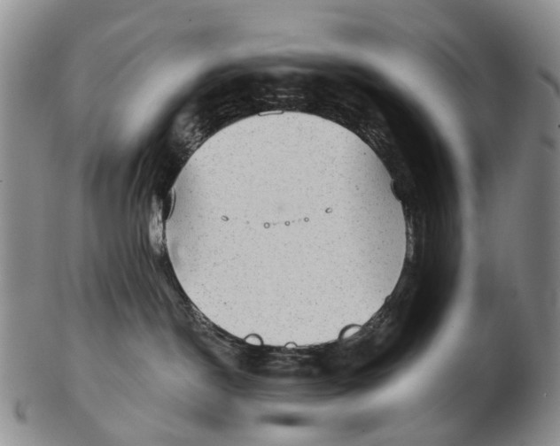 X0000102800190200809081120