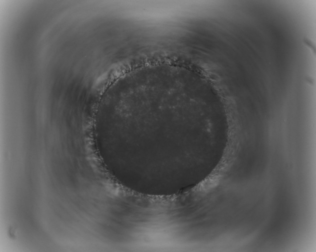 X0000102800192200809081120