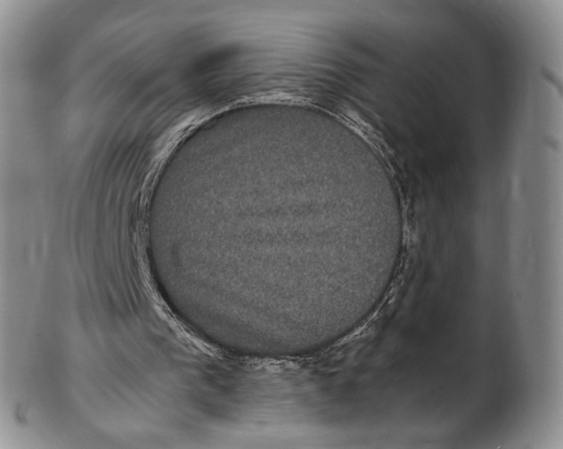 X0000102800193200809081119