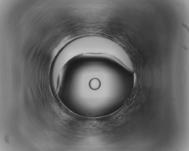 X0000102800195200809081119