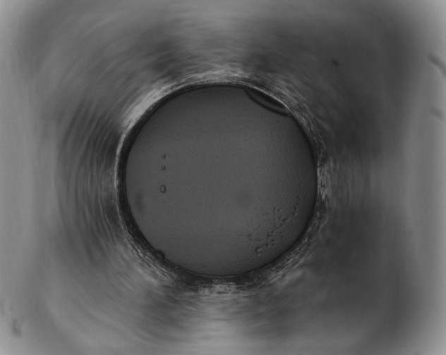 X0000102800196200809081119