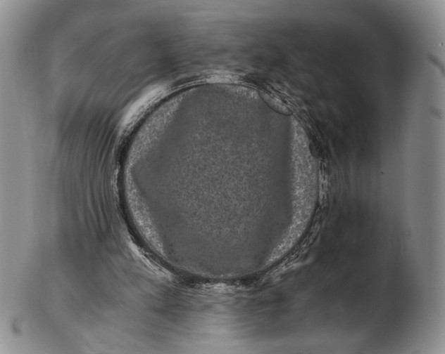 X0000102800197200809081119