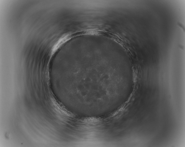 X0000102800198200809081119