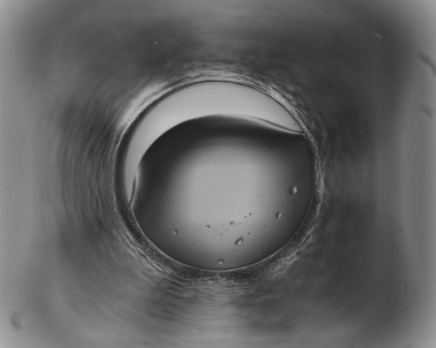 X0000102800199200809081119