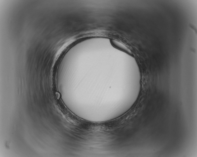 X0000102800200200809081119