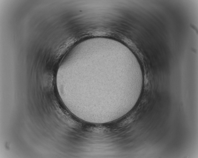 X0000102800201200809081119