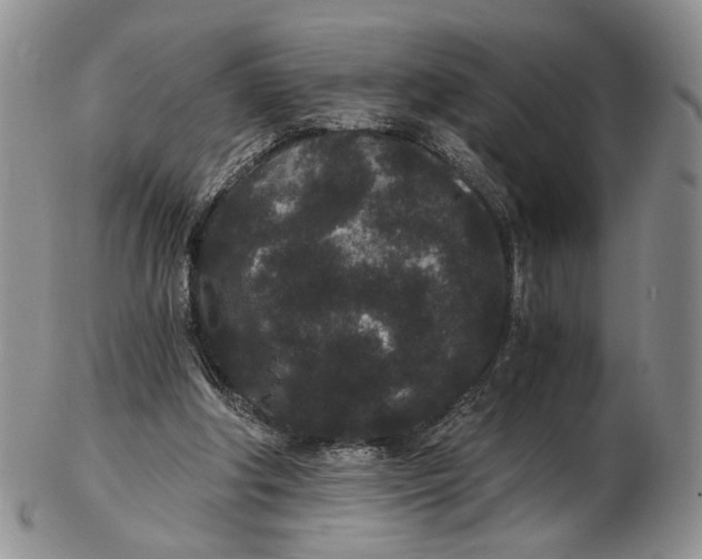 X0000102800202200809081119