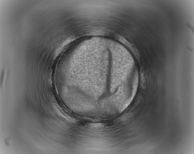 X0000102800203200809081119