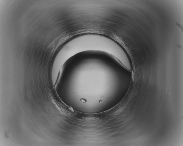 X0000102800205200809081119