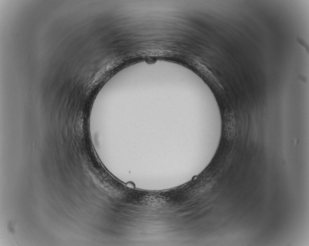 X0000102800207200809081119