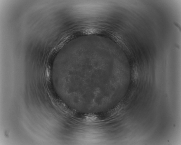 X0000102800214200809081119